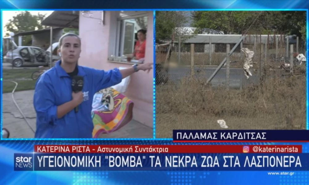 Απασφάλισε η ρεπόρτερ του STAR και τα έχωσε άσχημα σε όλους! Viral έγινε η δημοσιογράφος Κατερίνα Ρίστα για το ρεπορτάζ της στην Καρδίτσα (βίντεο)